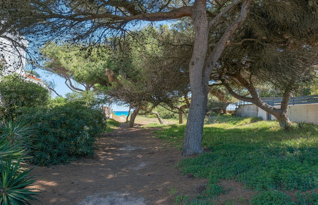 Villa Canta in Mallorca - Foto 38