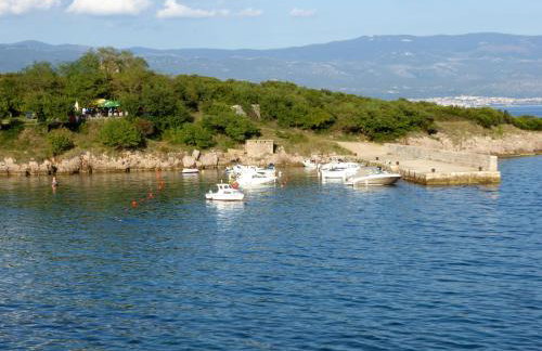 Holiday Home Svjetlana - Photo 75