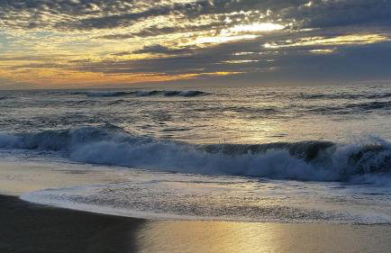 Amazing Getaway Oceanview with treehouse feel - Foto 31