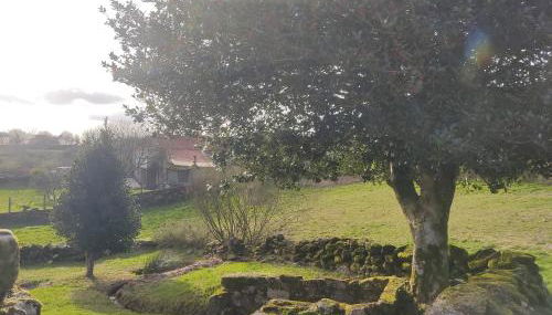 O Campo DaFolla - Foto 4, Garden view