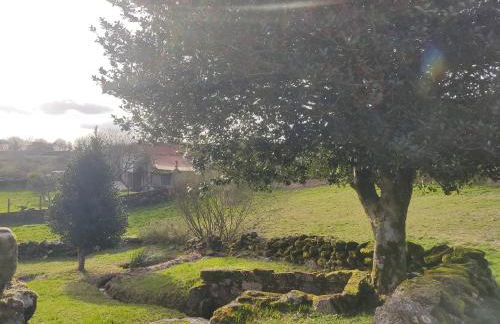 O Campo DaFolla - Foto 4