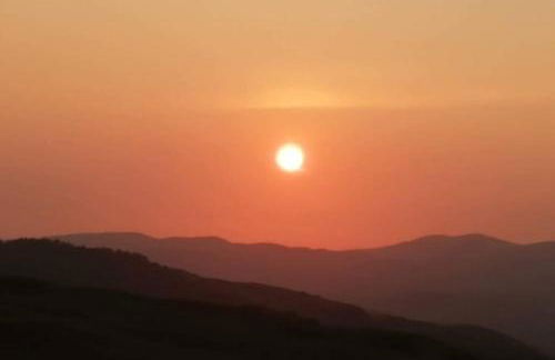 Bwthyn Gweilch - Photo 29