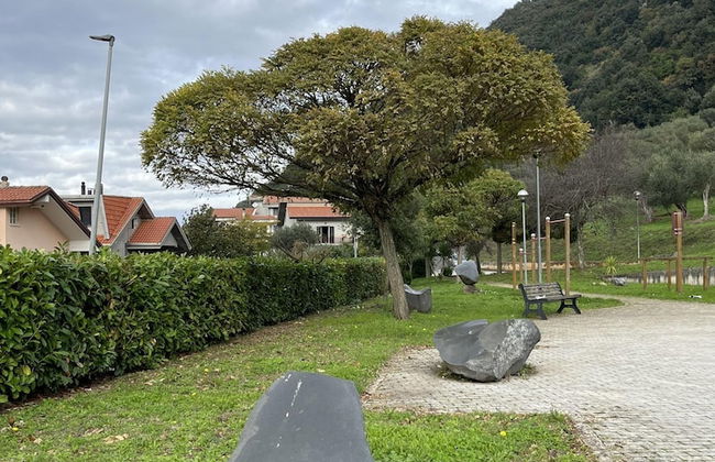 Preta Nera Intera in Giuliano di Roma - Foto 79