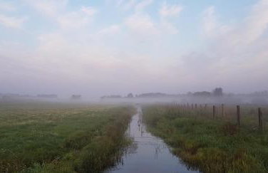 Zdalnie z Lasu - Siedlisko w Puszczy Białowieskiej - Foto 43