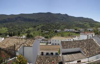 LA POSADA DE LA MUELA - Photo 33