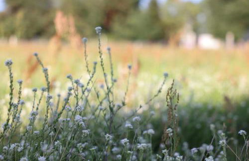 Idyllic Hideaway In The Countryside - Foto 34