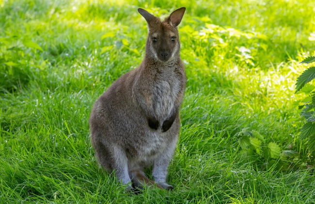 Peaceful Retreat Near Zeeland Beach - Photo 14
