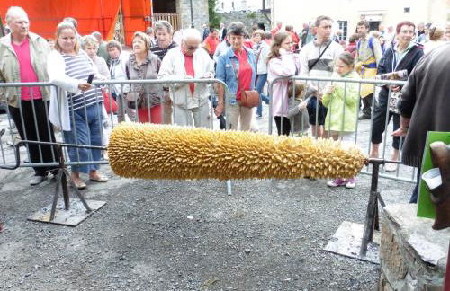 grange rénovée en gîte/maison/chalet - Foto 51