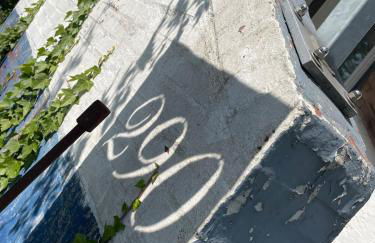 Deichliebe ÖKOlogisch - Foto 7