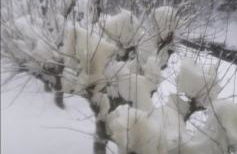 Somport bienvenidos a Canfranc Family - Foto 19