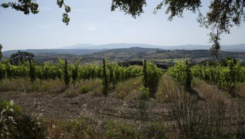 Agriturismo Belvedere Di Pierini E Brugi - Foto 5
