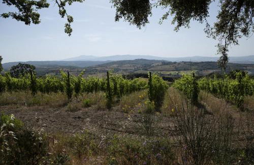 Agriturismo Belvedere Di Pierini E Brugi - Foto 5