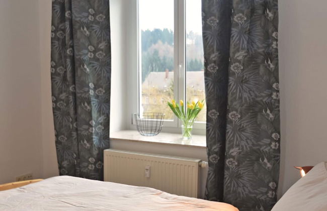 Apartment in Ore Mountains Near Hiking Trails - Foto 4