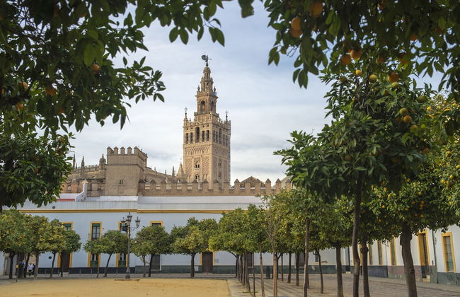 Pierre & Vacances Sevilla - Foto 36