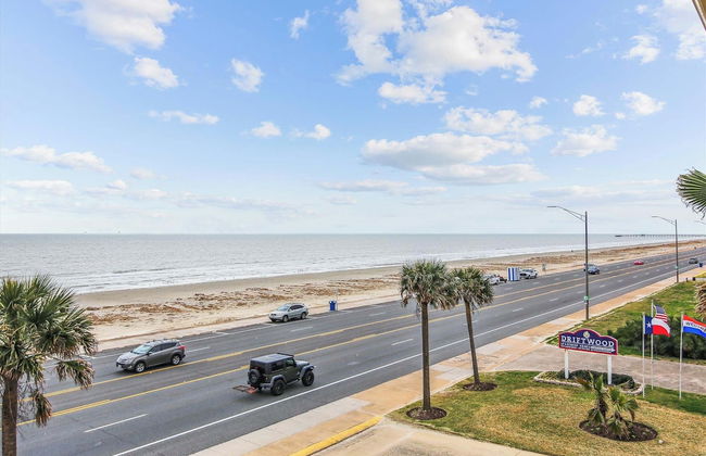 Dawn 1037 - The Regal Seagull - Photo 2