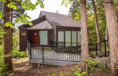 Treehouse Treetop Village58-3Bed3BAPools-8PP - Photo 3