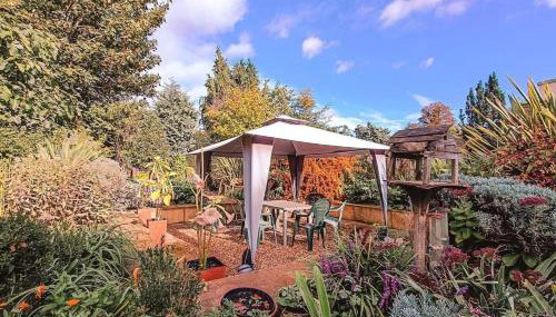 The Sandy Studio Flat in Petersham - Foto 3, Garden