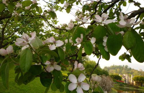 Country House Barone d'Asolo - Foto 82