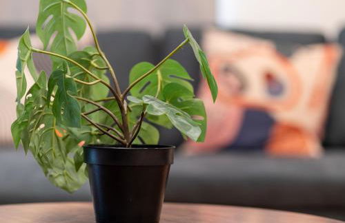 New 4 Apts-198-3 Bed Apt 1st Floor & 3 Bed Apt 2nd Floor - 1 Bed Studio Apt Ground Floor & 1 Bed Studio Apt Ground Floor near Penn Station EWR Newark NJ Airport Hospital Manhattan NYC - Foto 22