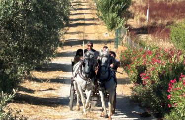 Quinta do Pé da Charca - Foto 30