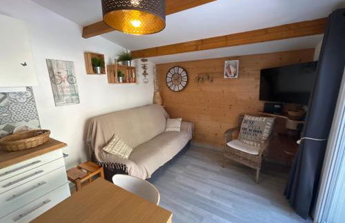 Maison avec jardinet, piscine commune à Lacanau océan - Foto 4