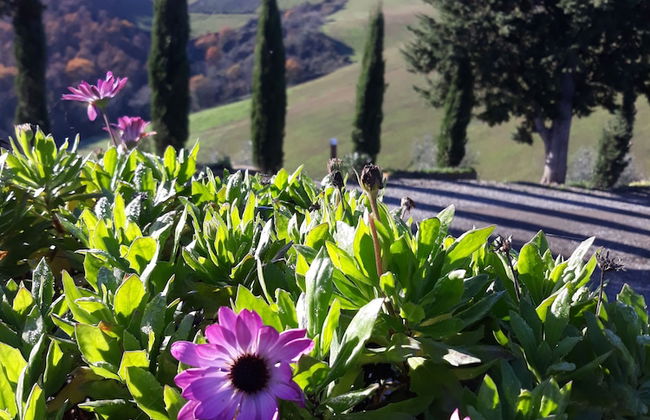 San Lorenzo Agriturismo - Foto 39