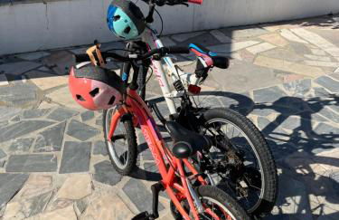 Casa das Rosas - Photo 72