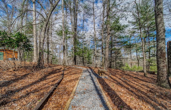 Blueridge Cabin Serene Forest Retreat! - Foto 24