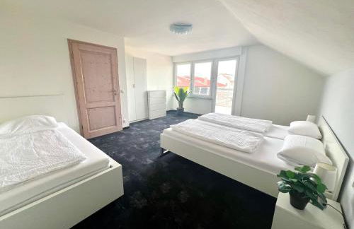 Ferienwohnungen zur Elz - Traumhafte 160 qm Wohnung mit Pool und Garten Nähe des Europaparks - Foto 11