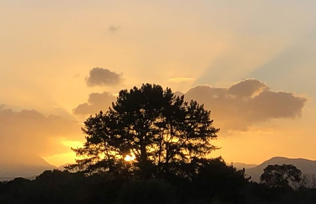 Teniqua Treetops - Foto 75