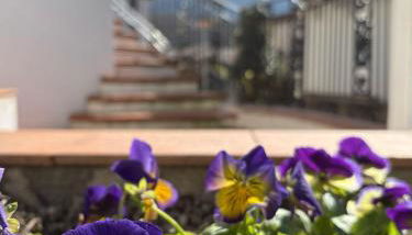 Albori - Foto 4, Garden