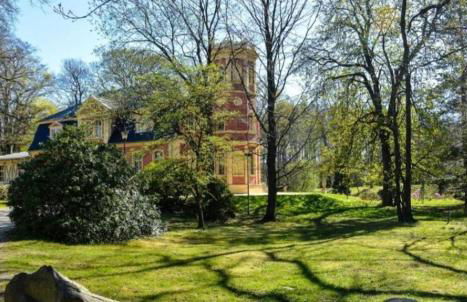 Ferienwohnung zentrale Lage Parkplatz kostenlos Grill Terrasse Fahrradraum Kromlau - Foto 35