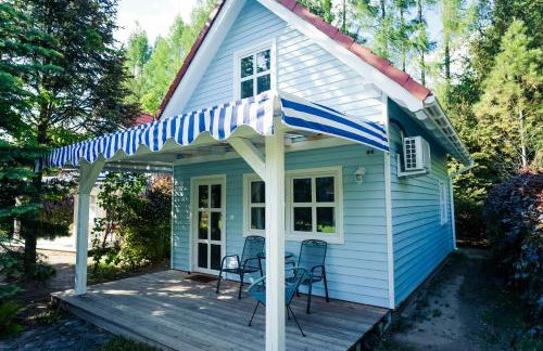 Kwiat Paproci - Foto 3