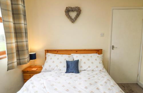 Blaenferwig - Photo 13