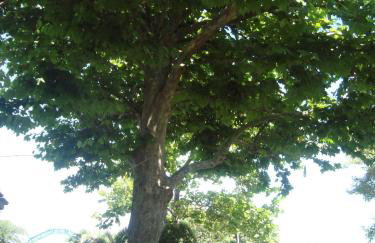 Xara Apartments - Foto 19