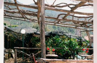 Pucaré Apartments - Foto 14