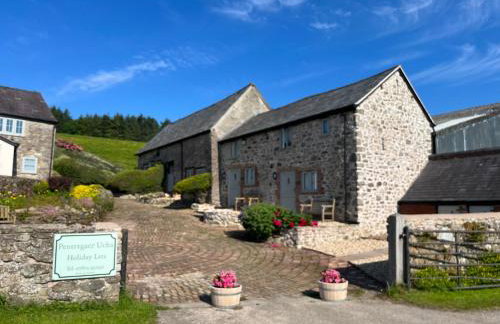 The Granary at Pentregaer Ucha, tennis court & lake. - Foto 3