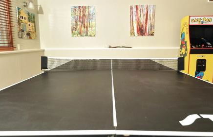 New-Game Room-Nearby Lake-Airport-Family-Bear Haus - Photo 12