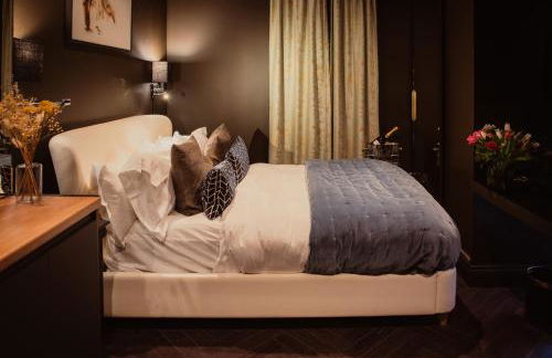 Small Studio with En Suite Bath & Kitchenette - Foto 3