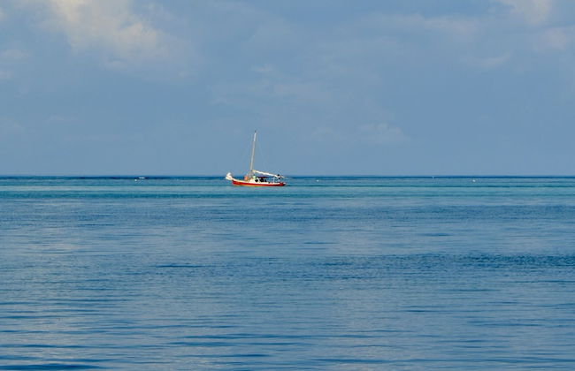 Xanadu Island Resort - Foto 43