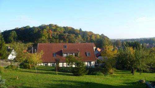 Ferienhaus 1 - Foto 5, Garden