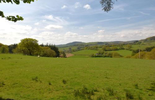 2 Bed in Llanwrtyd Wells 94009 - Foto 29