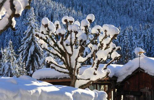 Appartamenti Rì de la Clama Andalo, Barbara - Foto 28