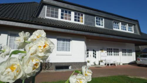 Fischreiher 1 - Foto 2