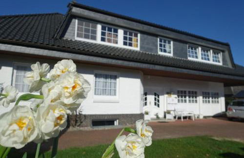 Fischreiher 1 - Foto 2