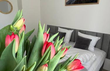 Karkonoskie Widoki Apartamenty - Foto 12
