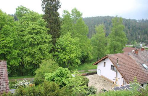 Friedenweiler Am Sommerberg by Kuckucksnester - Foto 29