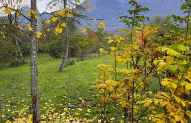 Casa delle Arti Fattoria dei fiori - Foto 44
