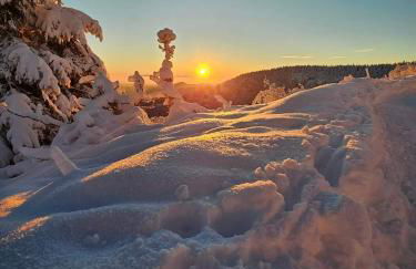 Vignes & Tropiques - Terrasse - Wifi - Clim - Parking - Photo 48