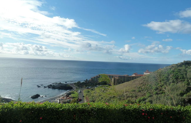 Oceanic Apartments - Photo 18